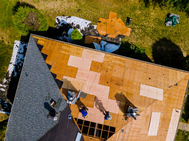 Best Roof Maintenance Services  in Mec, CA